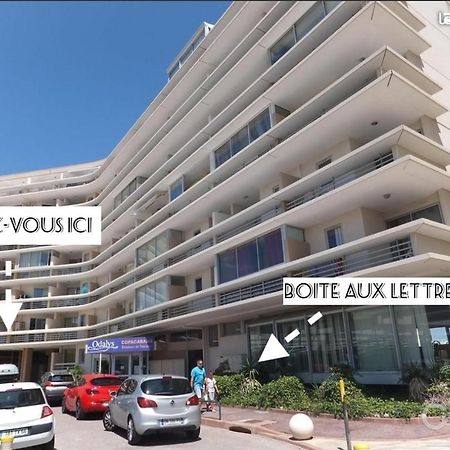 Appart Face A La Mer Les Pieds Dans L'Eau Canet-en-Roussillon Εξωτερικό φωτογραφία
